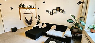 Světlý obývací pokoj s moderním černým gaučem, originálními dekoracemi na stěně, přirozeným světlem z oken a rostlinami pro svěží atmosféru.