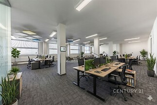 Moderní otevřená kancelář, světla zářivková osvětlení, kobercová krytina, velká okna zajišťují dostatek denního světla, kvalitní kancelářský nábytek.