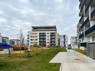 IMG_0610