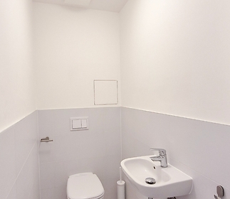 bathroomc-toilet.jpg