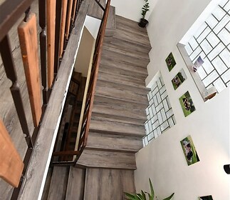 Moderní schodiště s dřevěnými schody a kovovým zábradlím, dekorativní obrazy na stěnách, světlá výmalba, doplněno zelenými rostlinami.