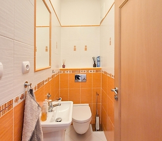 bathroom3-toilet.jpg