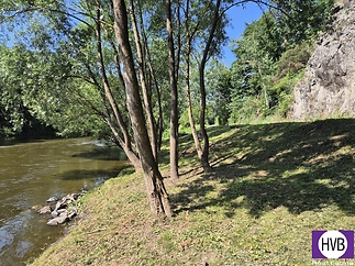 20250720-111004.jpg