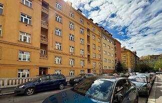 IMG_1178.jpg