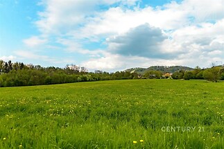 zahrada s pohled na lesy