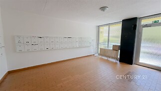 Společná vstupní hala s dlažbou a poštovními schránkami, prosvětlená velkým oknem, v udržovaném domě.