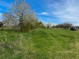 Travnatý stavební pozemek s rozkvetlými stromy v klidné části, vhodný pro rodinný dům, s možností napojení na inženýrské sítě