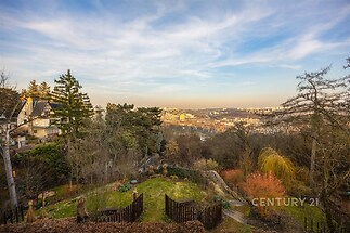 Výhled z bytu přes zahradu