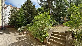 IMG_1174.jpg