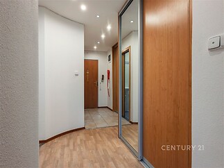 Vstupní chodba s parketovou podlahou, vestavěná zrcadlová skříň, moderní osvětlení, dřevěné dveře, světlý a prostorný interiér.