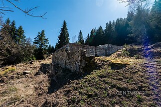 Kamenný základ venkovského domu s výhledem do lesa, obklopený přírodou, ideální pro rekonstrukci a výstavbu nového projektu.