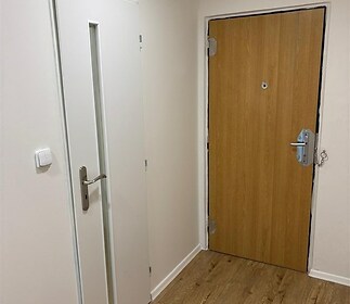 Vstupní chodba s dřevěnou podlahou, moderními dveřmi a bílými stěnami, nabízí jednoduchý a čistý design v rekonstruovaném stylu.