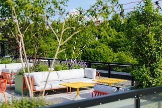 ahoj-vanguard-007-social-2048px-4e1b0e