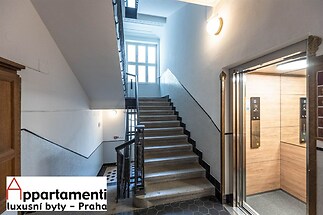 Vstupní hala se schodištěm, které má kamenné schody a modernizovaný výtah. Dřevěné obložení zdobí interiér, světlý prostor.