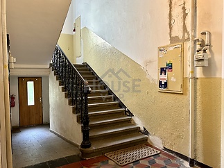 IMG_E9884