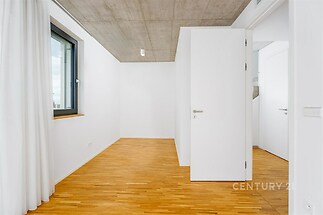 Světlý pokoj s parketovou podlahou a moderním betonovým stropem, velká okna poskytují dostatek přirozeného světla, bílý interiér