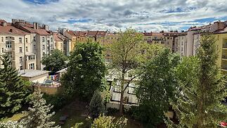 IMG_1152.jpg