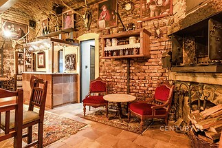 Historický sklep s klenutým stropem, cihlovými zdmi a kamennou podlahou. Stylový interiér s krbem, dřevěnými prvky a rustikálním nábytkem.