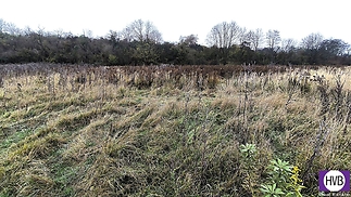 img-20241113-105400.jpg