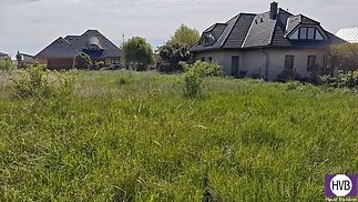 1746615155675-1.jpg