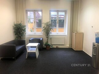 Světlý obývací pokoj s tmavou kobercovou podlahou, velkými okny a moderním nábytkem, ideální pro příjemné posezení.