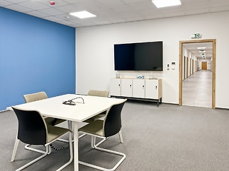 HQ_Ostrava, Laso_Czech Republic_Centre 8937_Meeting Room