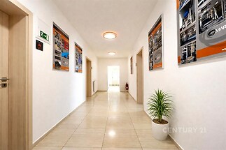 Dlouhá chodba s dlažbou, světlá stěna, moderní osvětlení, dekorativní obrazy a rostlina v květináči vytvářejí přívětivou atmosféru.