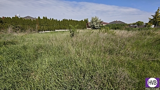 1746615155713-1.jpg