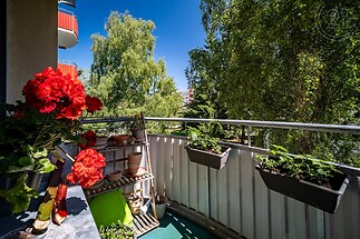 Balkon