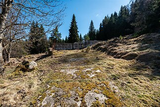 Opomíjený stavební pozemek na okraji lesa s nerovným terénem a přírodním okolím, ideální pro klidnou výstavbu v přírodě