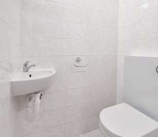 bathroom3-toilet.jpg