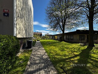 Prázdná zelená zahrada s dlážděnou cestičkou, obklopená stromy, na rovné ploše mezi budovami, nabízí soukromí a klidnou atmosféru.