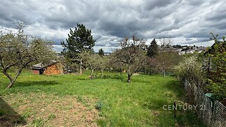 Zahrada s udržovaným trávníkem a vzrostlými stromy, nabízí klidné prostředí a soukromí.