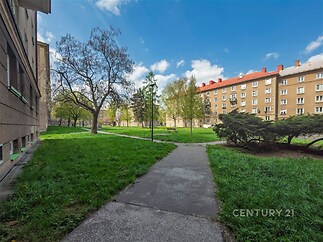 Zahrada s asfaltovým chodníkem obklopená vzrostlými stromy a travnatými plochami, slunečné počasí přispívá k příjemné atmosféře prostoru