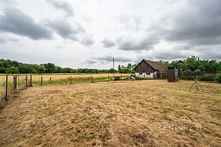 Velká zahrada s živým plotem, dřevěná stodola a úložný přístřešek, ideální pro zahradní nadšence, přírodní prostředí a možnost kreativního využití prostoru.