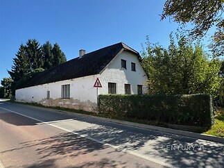 dům