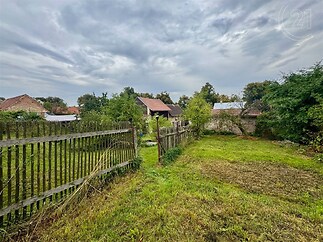 zahrada