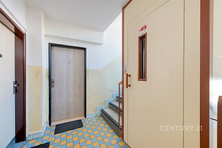 Vstupní hala s dlažbou, světlé stěny, renovovaný výtah, bezpečnostní dveře