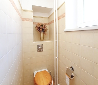 bathroom-toilet.jpg