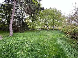 image0(19)