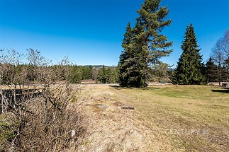 Volný pozemek v klidné lokalitě s přírodním prostředím, obklopený vzrostlými stromy, vhodný pro výstavbu, slunné místo.