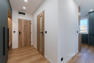 Vstupní hala s parketovou podlahou, moderní dřevěné dveře a vestavěné skříně, světlý interiér s minimalistickým designem.