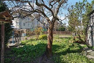 Zahrada s rozmanitou zelení, ovocným stromem a dřevěným plotem, nabízející klidné prostředí pro relaxaci a zahradničení.