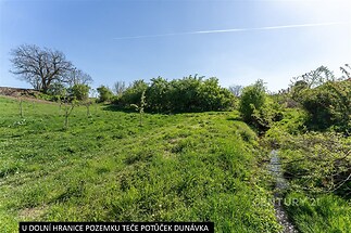Zahrada se vzrostlými stromy a keři, rekreační pozemek u tekoucího potoka, ideální pro přírodní útočiště, vhodné pro zahradní úpravy a odpočinek.
