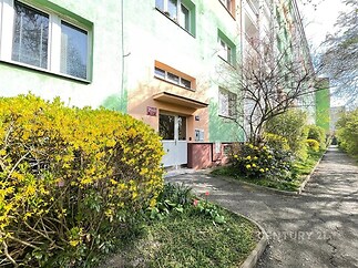 Vstup do panelového domu s upraveným okolím, kvetoucí keře a zelené plochy podél chodníku, dobře udržovaný exteriér.