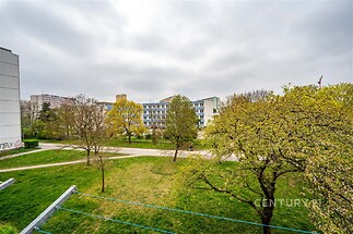 Výhled z balkónu na zelený park s udržovaným trávníkem, okolní bytové domy a vzrostlé stromy, ideální pro klidné bydlení v městské části