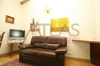 obývací pokoj s parketová podlaha a televize