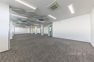 Prázdný kancelářský prostor s moderním kobercem, velké otevřené uspořádání a zářivkovým osvětlením, světlý a připravený k použití.