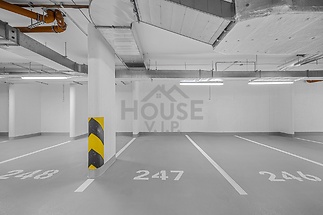 _MG_8644