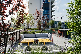 ahoj-vanguard-001-social-2048px-c1d35a